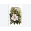 «Magnolia Vignette» par Marcia Matcham, reproduction d'art graphique sur toile-29174102-72804494-72804497