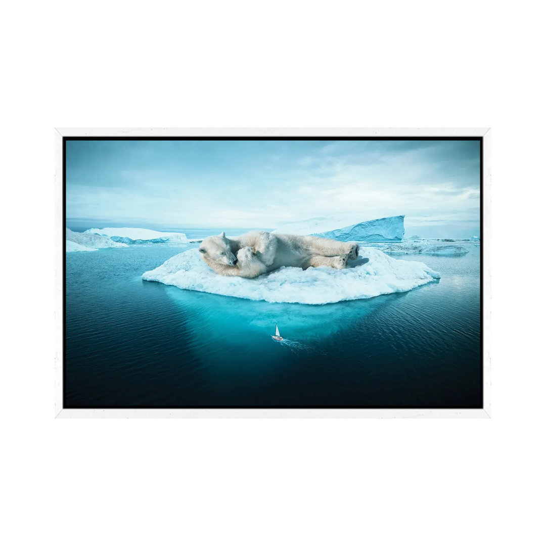 Schlafender Eisbär von Ruvim Noga - Galerie-verpackte Leinwand Giclée