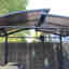 Photos des clients 1 de 3