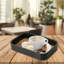 Plateau du café du matin
