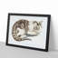 Cat by Johan Teyler - Framed Print-55621427-55621431