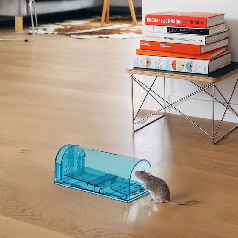 Mouse Cage