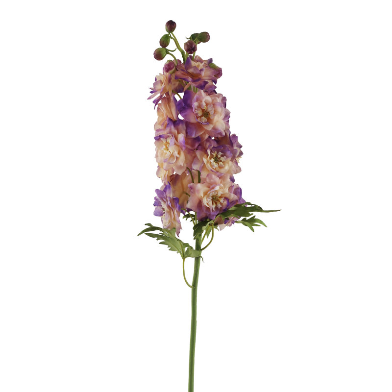 DELPHINIUM SHORT STEM