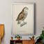 «French Owls I», impression sur papier-1832933969-1832933972