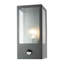 Brushed 24cm H Outdoor Wall Lantern