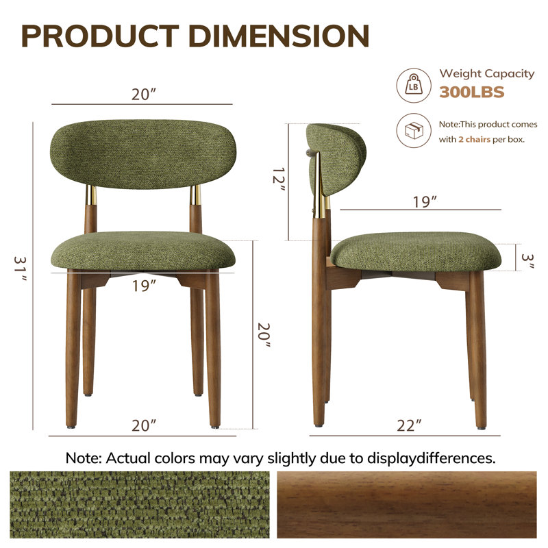 Chaise de salle à manger Solon rembourrée en bois massif, Vert, Noyer