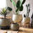 Rustic Globe Cement Planter-1473774651-1473774644