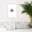 Beetle Insect - Single Picture Frame Print-310298782-310298775