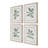 Uttermost Fiddle Head Leaf Botanical Prints Set/4