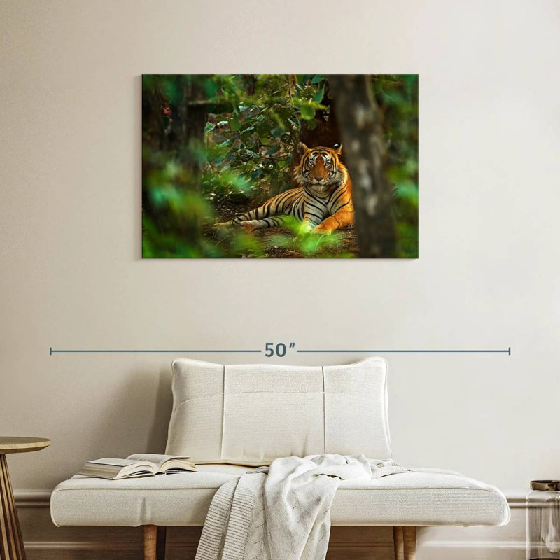 Brampt Indian Tiger, 24" H x 36" W
