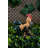Standing Rooster Statue