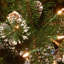  24" Glittery Pine Garland with Clear Lights