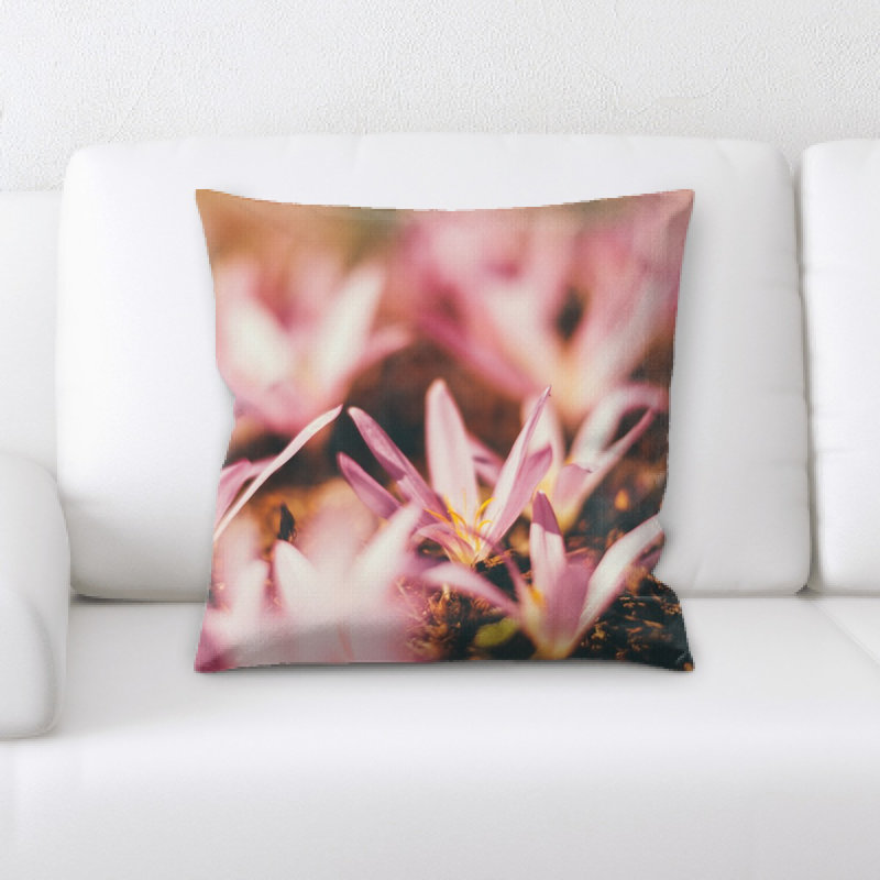 Coussin décoratif flou