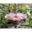 Bain d'oiseaux avec piquet Hummingbird
