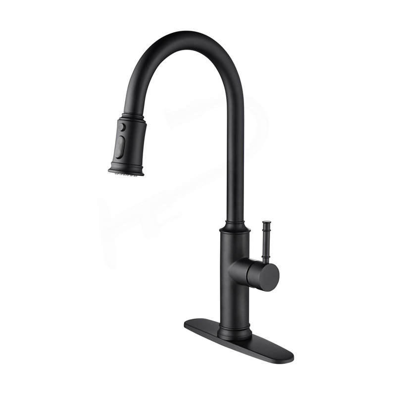 Kitchen Faucet With Pull Out Spraye