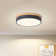 Modern Dimmable LED Close to Ceiling Light