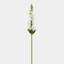 Real Touch Snapdragon Faux Floral-24581445