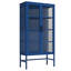 Armoire de rangement à double porte en verre avec tablettes réglables, armoire de vestibule