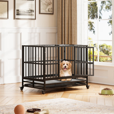 Cage pour chien robuste et indestructible - chenil en acier avec portes doubles, roues verrouillables à 360 °, plateau amovible, assemblage facile, cage intérieure pour petits, moyens et grands chiens - Taille: 37 pouces