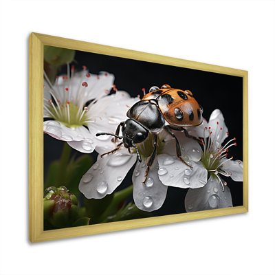 " Nature S Mystery Blooming Ladybug "