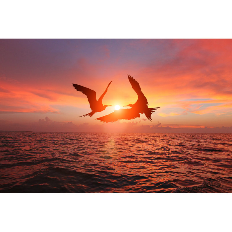 Birds Dancing In The Sky by Maxiphoto - No Frame Print on Canvas, 81cm H x 122cm W