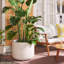 Norah Pot Planter-1354515144