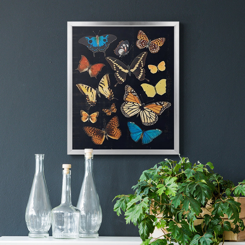 Toile encadrée de qualité supérieure Coll colt Flutter IV - prête à être accrochée, Argent, H 24 po x l 20 po