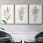 3 pièces Dicat Botanical I-97757802-97757803