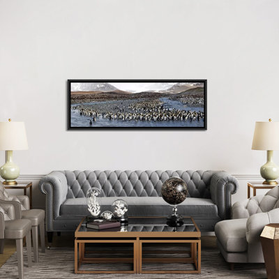 King Penguins at St Andrews Bay, South Georgia Island - reproduction de photo panoramique sur toile tendue