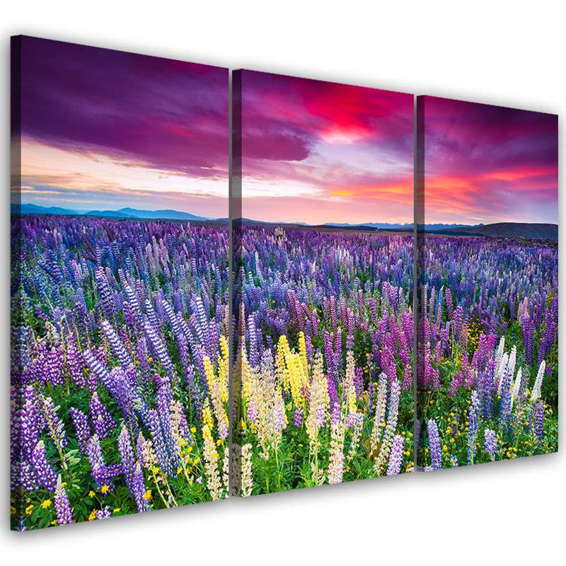 Lavender Field - 3 Piece No Frame Print on Canvas, 100cm H x 150cm W