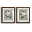 Magnolia botanique - ensemble de 2 reproductions d'art-866272718-866272743-866272761