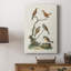 Oiseaux antiques dans la nature IV - galerie Cavas sur mesure-1890550756