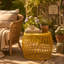 TABLE D'APPOINT 19,75 ALAMERAS
