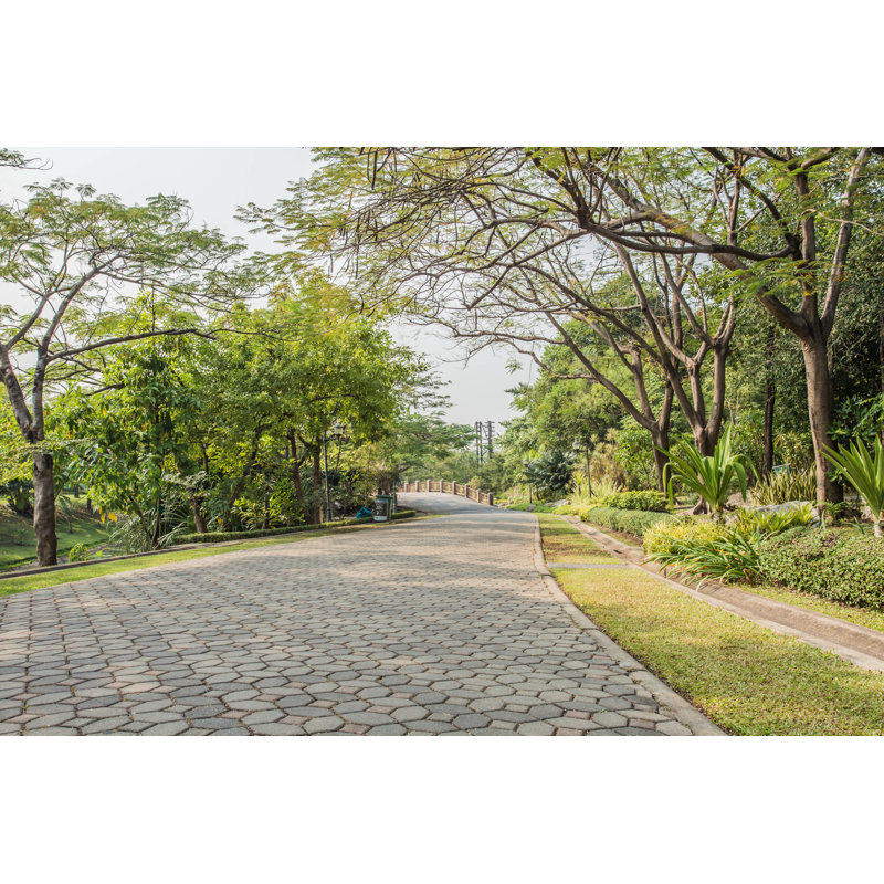 Park by Yotsaran - Wrapped Canvas Print, 30cm H x 46cm W
