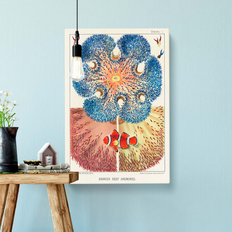 Great Barrier Reef Anemones I by W. Saville-Kent - Wrapped Canvas, 60cm H x 40cm W x 3cm D