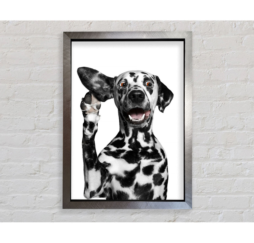 Dalmation Hund High Five - Druck