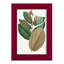Fall Foliage III, reproduction d'art encadrée-90582652-90582648