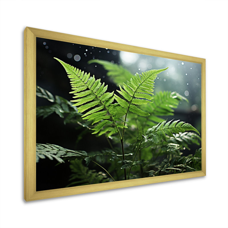 " Ferns Close Up Photo IV ", H 24 po x l 32 po x P 1 po, Cadre doré à une seule photo