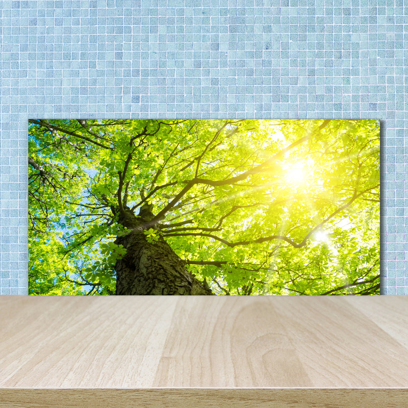 Lisvet 50cm W x 100cm L Glass Peel and Stick Panel