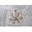 6-Light Chandelier