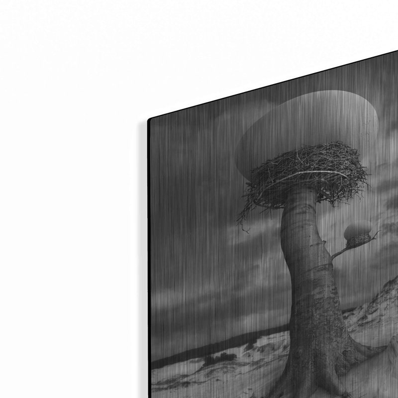 " 2nests " by Dariusz Klimczak