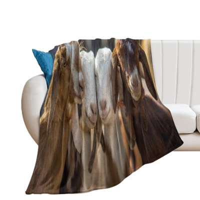 Four Goat Animal Patterns in Flannel blankets are suitable for use on sofas and beds, 40 x 50 in