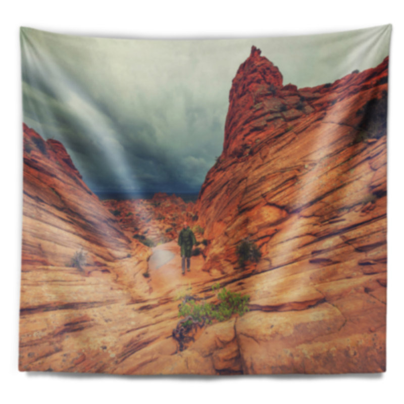 Paysage, tapisserie, vermillon sauvage, Utah, H 32 po x l 39 po