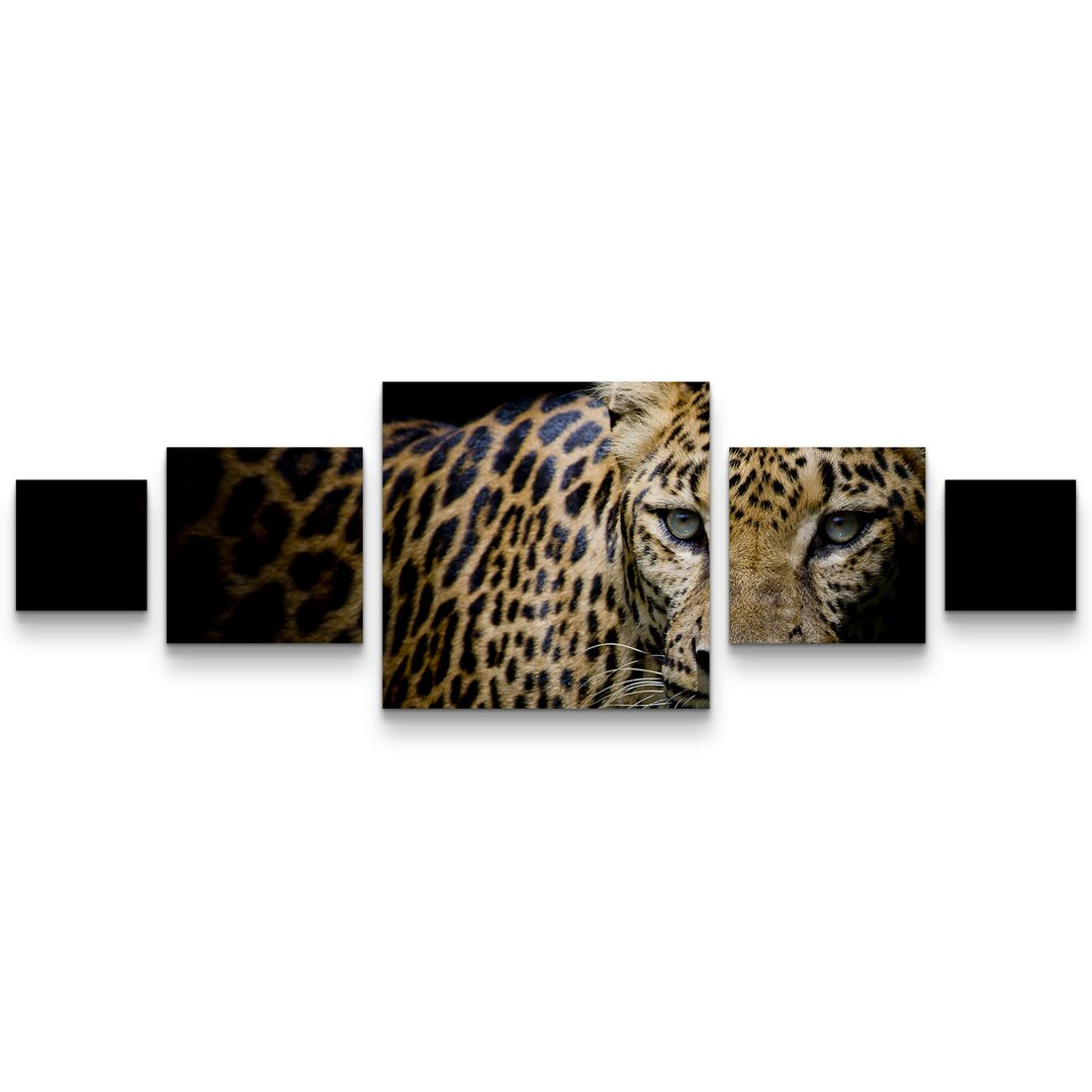 5-tlg. Leinwandbilder-Set Portrait Leopard