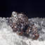 Sphalérite et dolomite. Mine Elmwood, Carthage, Tennessee, États-Unis