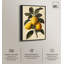Impression sur toile Zesty Precision par Art Remedy-110295314-110295306