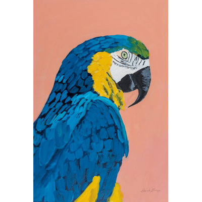Ara bleu et doré