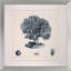 Blue Coral III Print