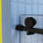 Glass Shower Door-114015945