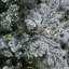Hendricks Flocked Sierra Fir Artificial Christmas Tree-36094801